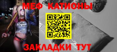 шишки Заводоуковск